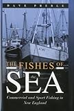 The Fishes Of The Sea Commercial And Sport Fishing In New England