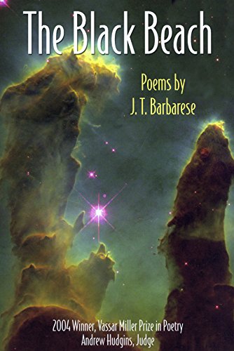 The Black Beach book cover