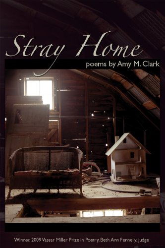 Stray Home book cover
