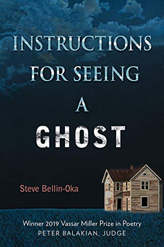 Instructions for Seeing a Ghost book cover