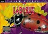 Lady Bug (Life Cycles)
