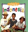 A Ticket to Indonesia