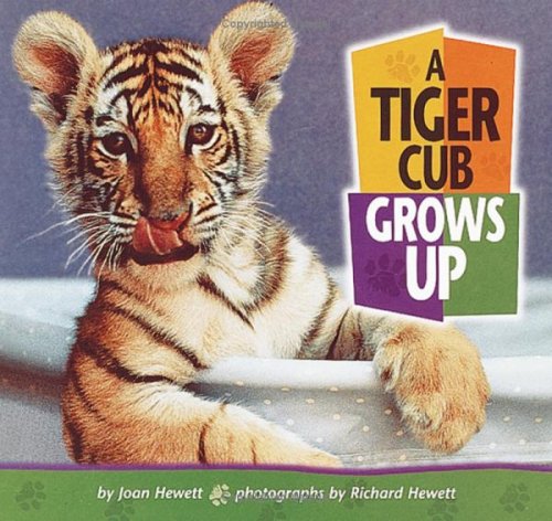 Cover of A Tiger Cub Grows Up