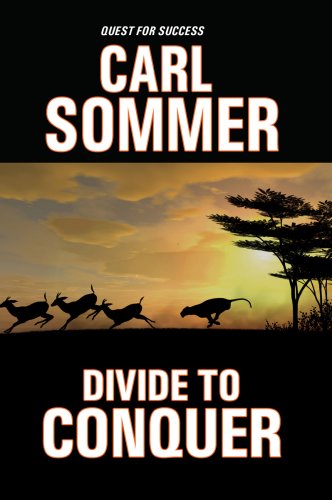 Cover of Divide to conquer