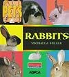 Rabbits (Pets)