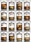 Malformed: Forgotten Brains of the Texas State Mental Hospital