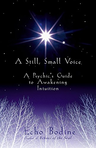 A Still, Small Voice: A Psychic's Guide to Awakening Intuition book cover