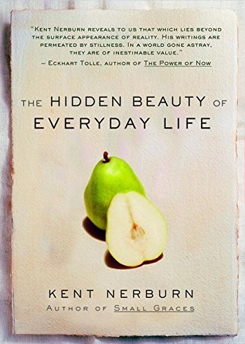 The Hidden Beauty of Everyday Life book cover