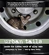 Urban Tails: Inside the Hidden World of Alley Cats