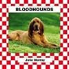 Bloodhounds (Checkerboard Animal Library: Dogs)