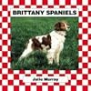 Brittany Spaniels (Checkerboard Animal Library: Dogs)