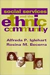 Social Services and the Ethnic Community