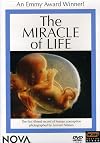 NOVA: The Miracle of Life [1983 TV episode]