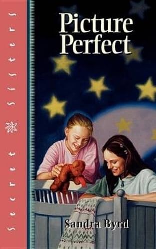 Picture Perfect book cover