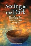 Seeing In The Dark Claim Your Own Shamanic Power Now And In The Coming Age