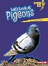 Let's Look at Pigeons (Lightning Bolt Books: Animal Close-Ups)