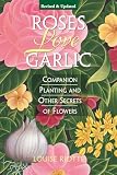 Roses Love Garlic Companion Planting And Other Secrets Of Flowers