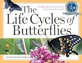 The Life Cycles Of Butterflies From Egg To Maturity A Visual Guide To 23 Common Garden Butterflies
