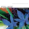 Foliage: Astonishing Color and Texture Beyond Flowers