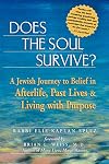 Does the Soul Survive?: A Jewish Journey to Belief in Afterlife, Past Lives & Living with Purpose