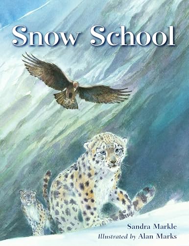 Cover of Snow school