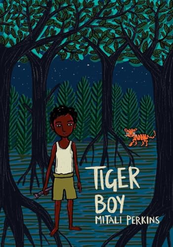 Tiger Boy book cover