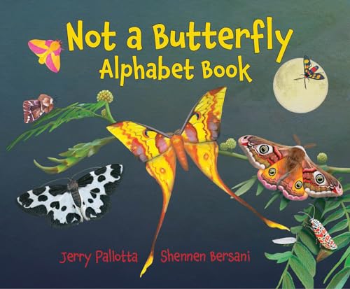 Cover of Not a Butterfly Alphabet Book
