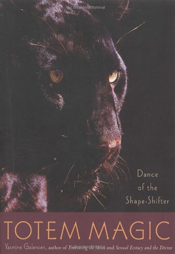 Totem Magic book cover