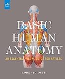 Basic Human Anatomy An Essential Visual Guide For Artists