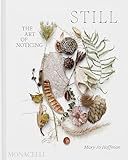 STILL: The Art of Noticing