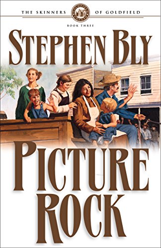 Picture Rock book cover
