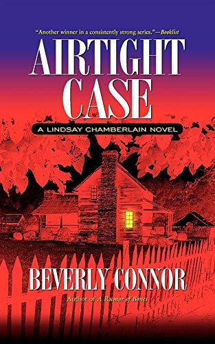 Airtight Case book cover