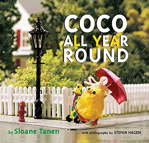 Coco All Year Round book cover