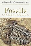 Fossils A Fully Illustrated Authoritative And Easytouse Guide A Golden Guide From St Martins Press