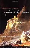 A Pelican in the Wilderness: Hermits, Solitaries, and Recluses