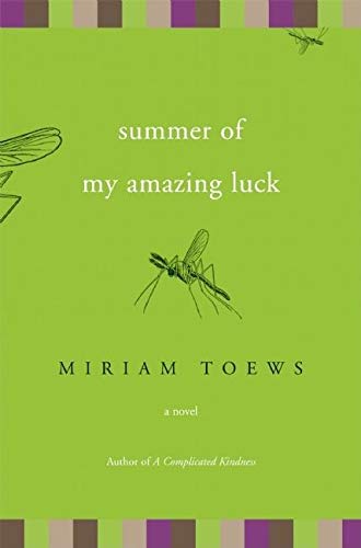 Summer of My Amazing Luck book cover