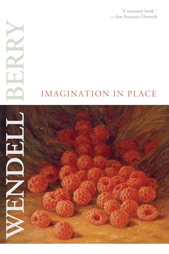 Imagination in Place book cover