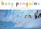 Busy Penguins A Busy Book