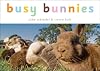 Busy Bunnies