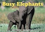 Busy Elephants