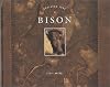 Bison (Northern Trek)