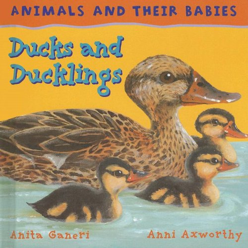 Cover of Ducks and ducklings
