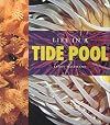 Life in a tide pool