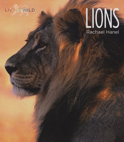Cover of Lions