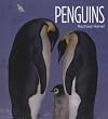 Penguins