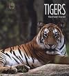 Tigers (Living Wild)