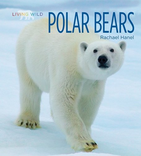 Cover of Polar Bears on the Hunt