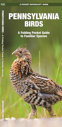 Pennsylvania Birds book cover