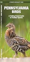 Pennsylvania Birds: A Folding Pocket Guide to Familiar Species