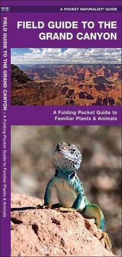 Field Guide to the Grand Canyon book cover